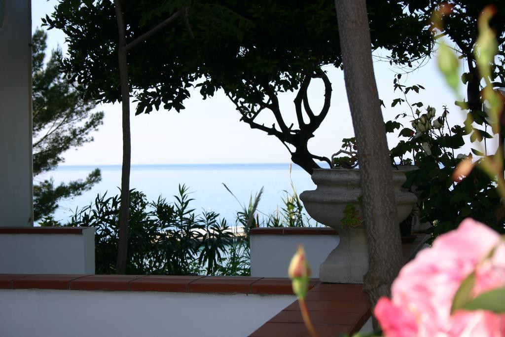 Hotel Piccolo Paradiso Di 로디가르가니코 외부 사진
